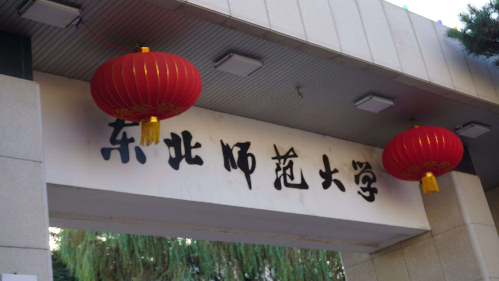 东北师范大学(东北师范大学化学学院)
