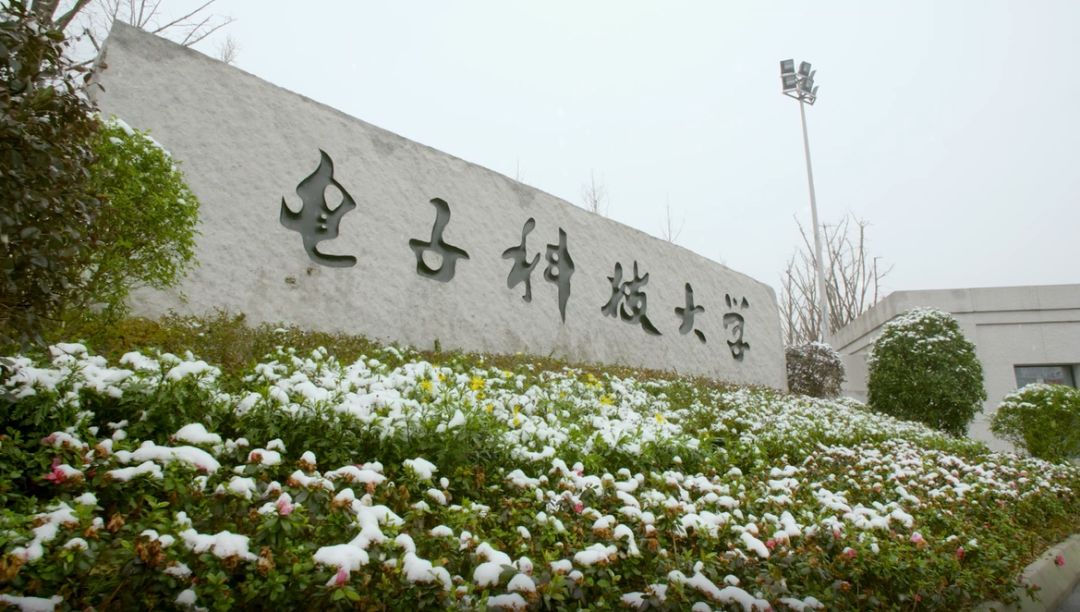 电子科技大学(电子科技大学自考)