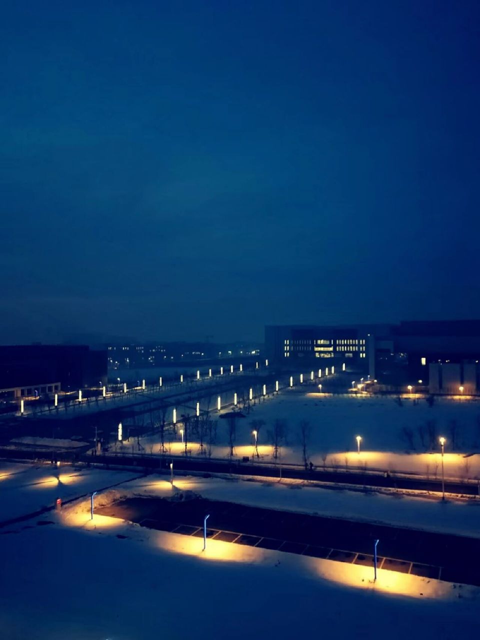 新疆大学(新疆大学研究生专业)