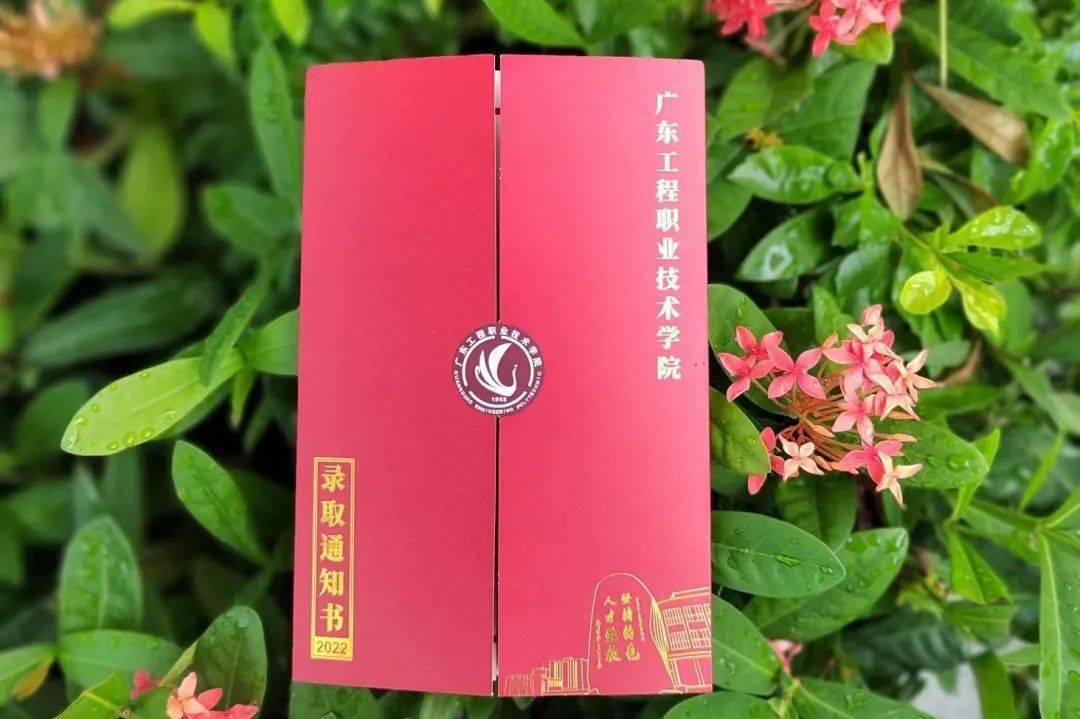 华南师范大学毕业证(华南师范大学毕业证图片高清)