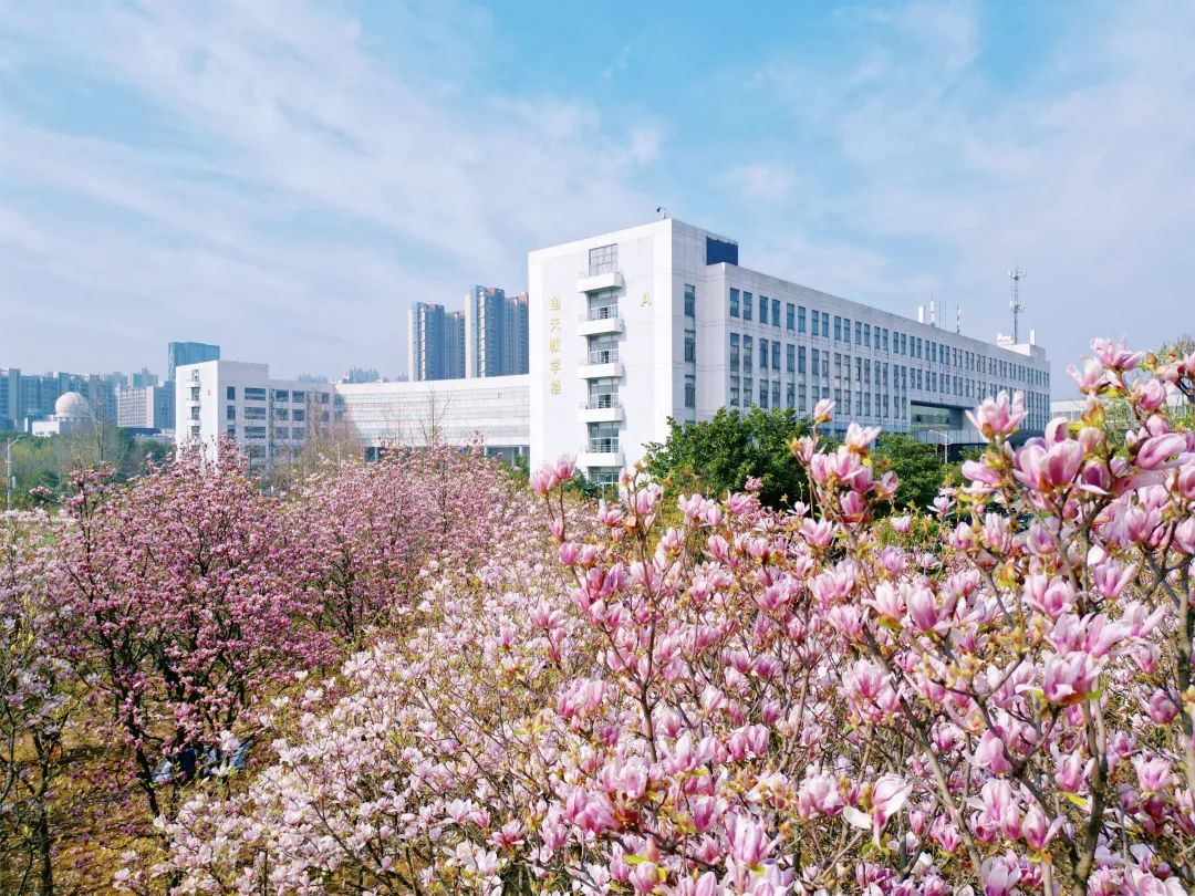 华中科技大学(华中科技大学在职研究生)