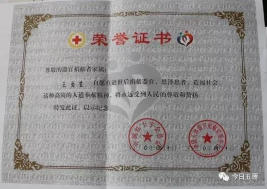山东大学文凭(山东大学文凭硬吗)
