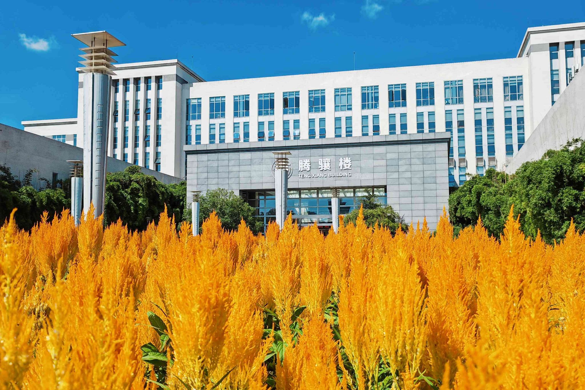 西南财经大学(西南财经大学考研分数线)