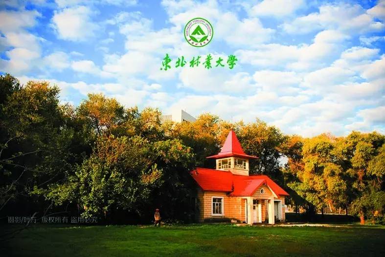 东北林业大学文凭(东北林业大学毕业证的样本和图片)
