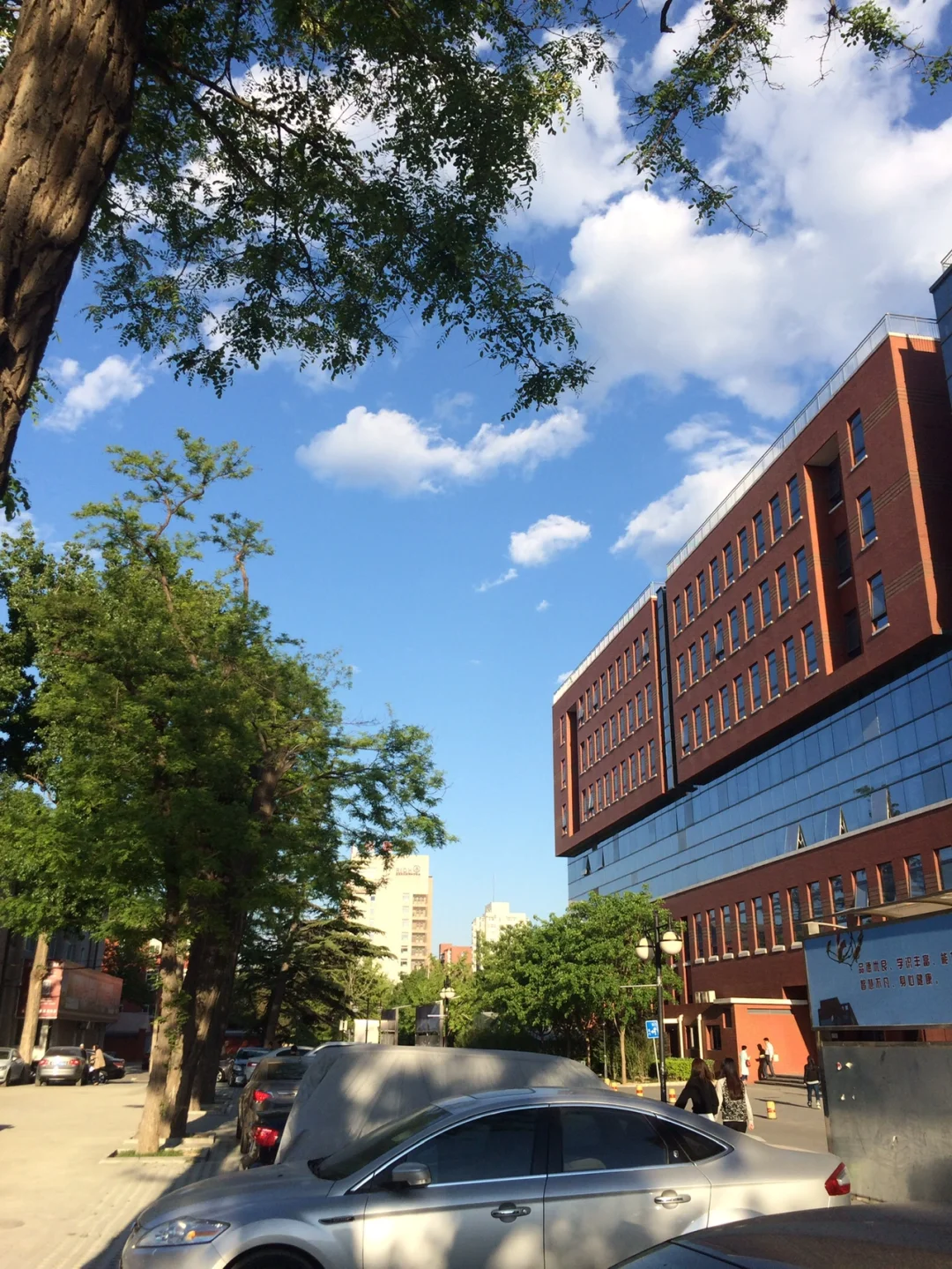 中国政法大学(中国政法大学是985还是211)