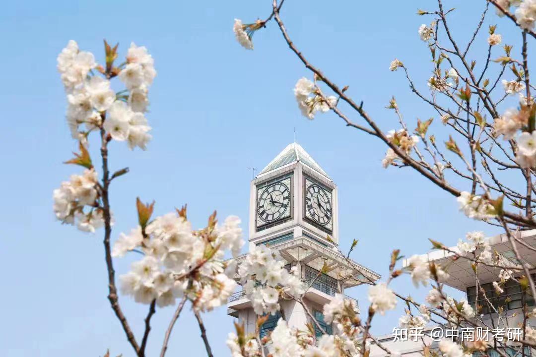 中南财经政法大学(中南财经政法大学是985还是211)