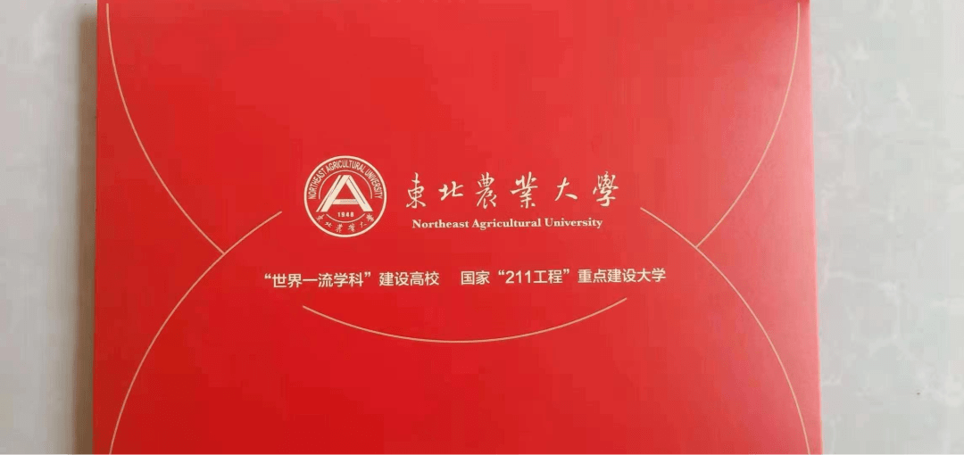 中南大学毕业证(中南大学毕业证图片长什么样)