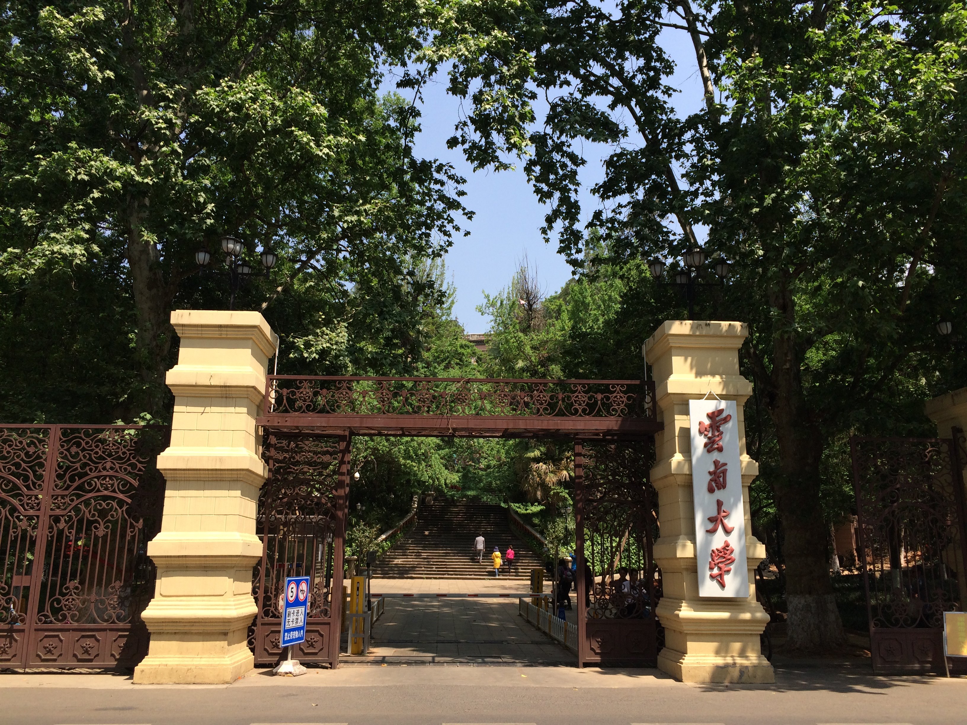 云南大学(云南大学录取分数线)