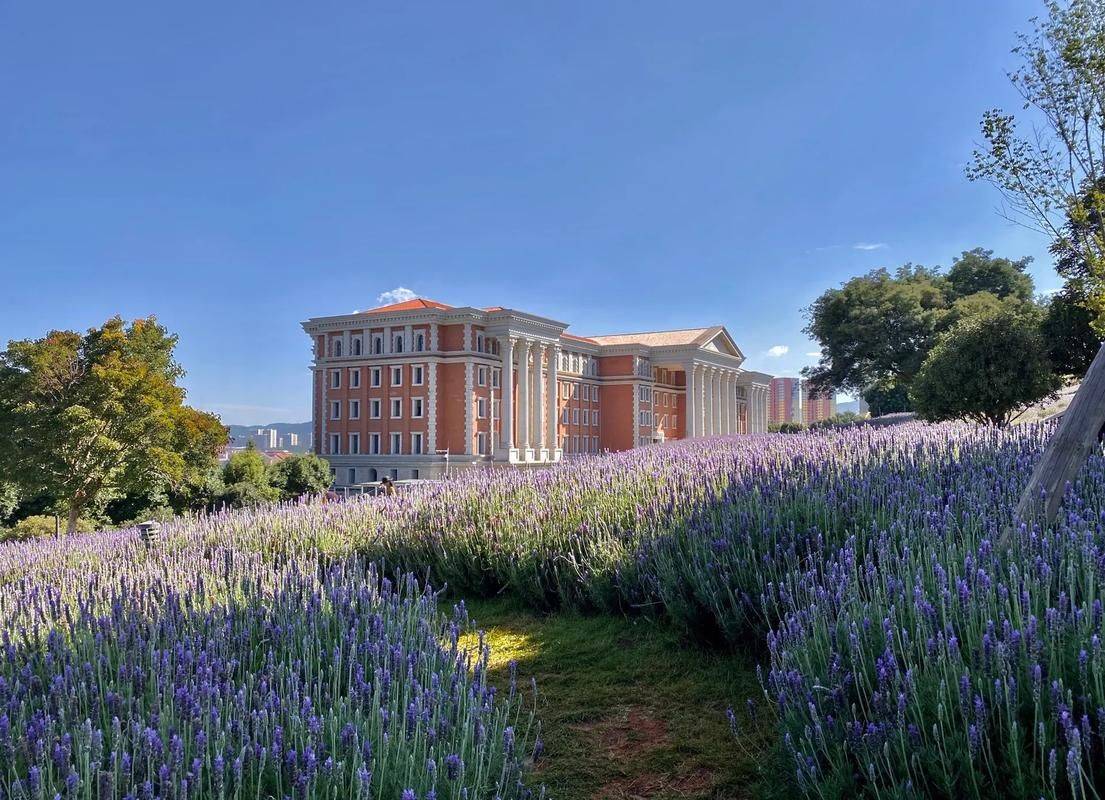 云南大学(云南大学录取分数线)