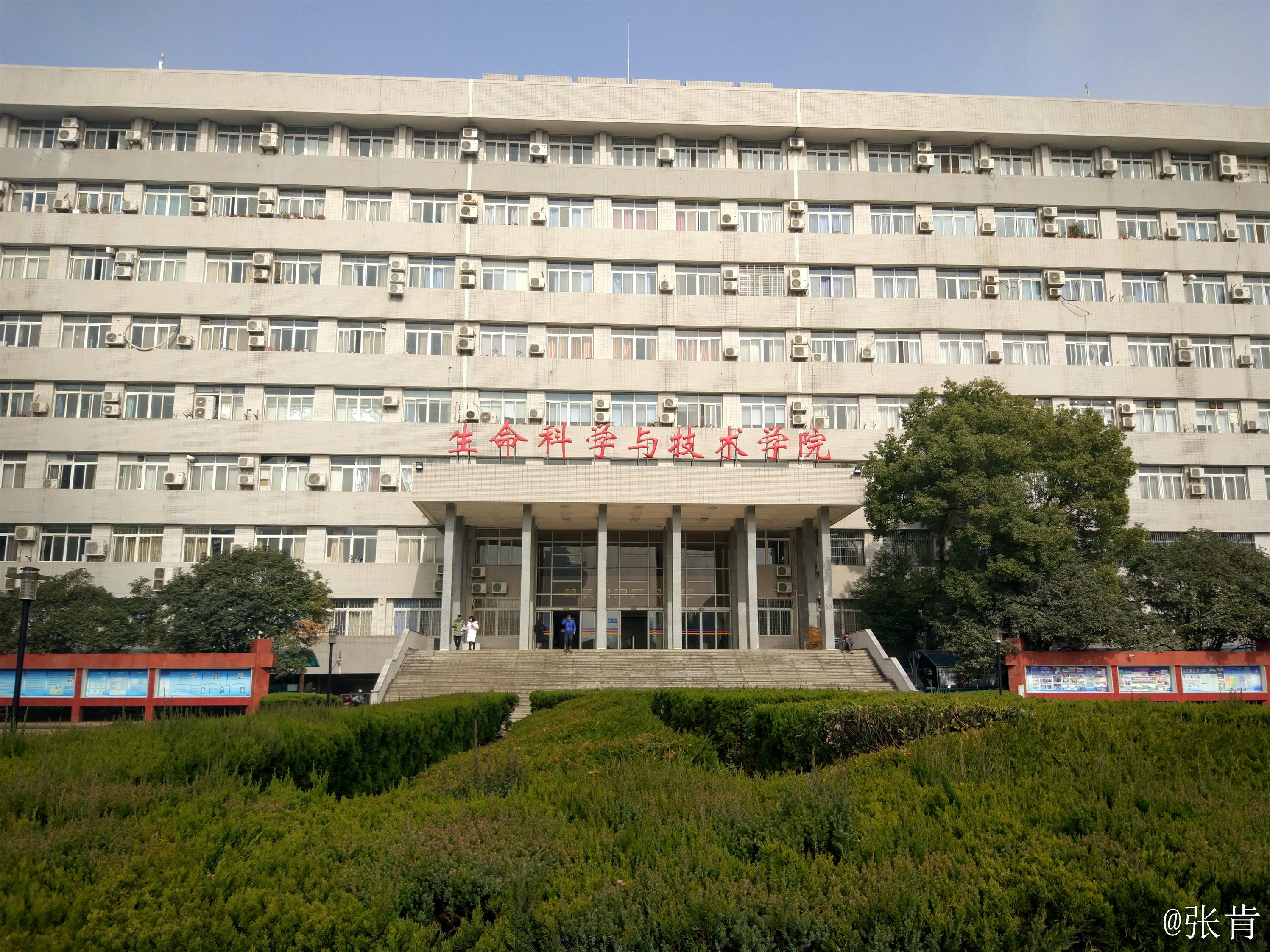 华中科技大学录取分数线2024