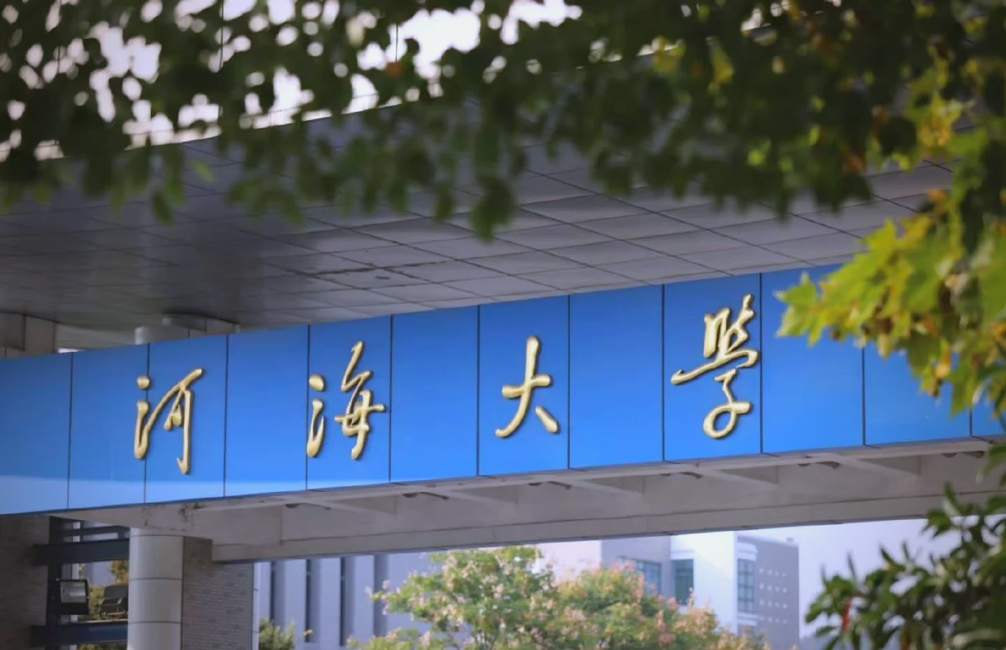 河海大学录取分数线2024