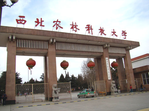 西北农林科技大学王牌专业