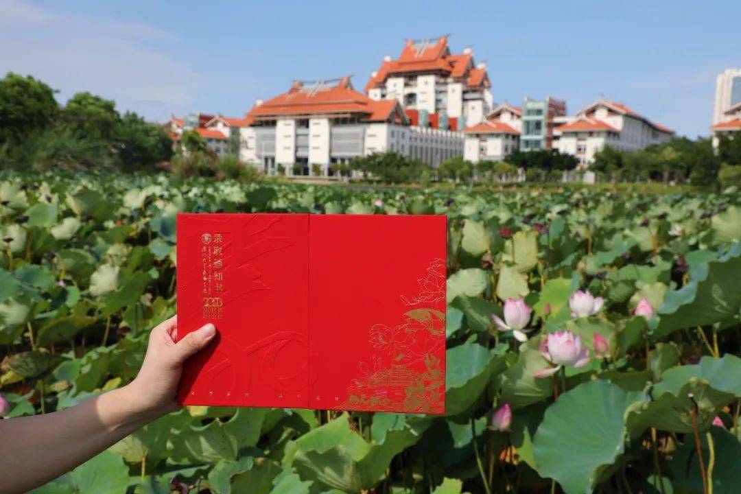厦门大学毕业证高清