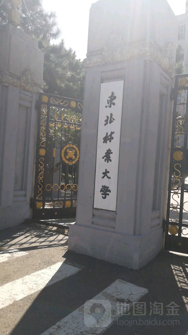 东北林业大学继续教育学院毕业证