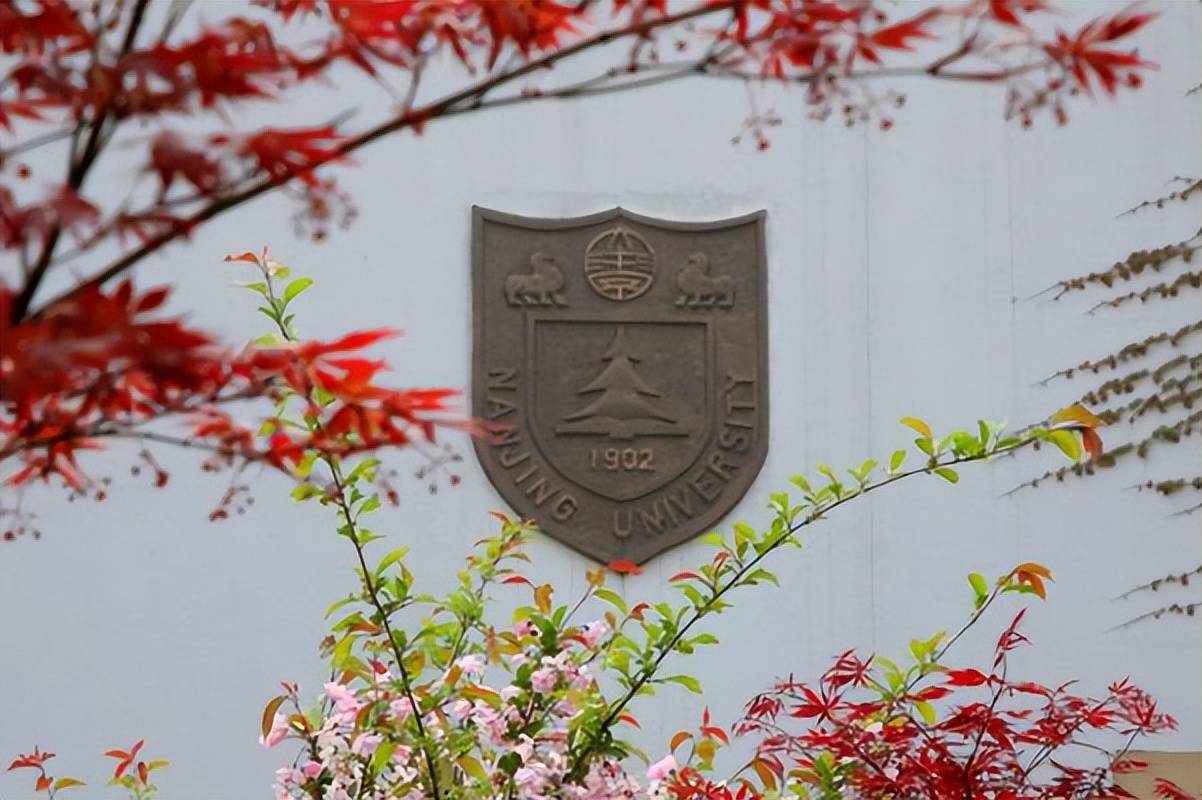 南京大学文凭值多少钱