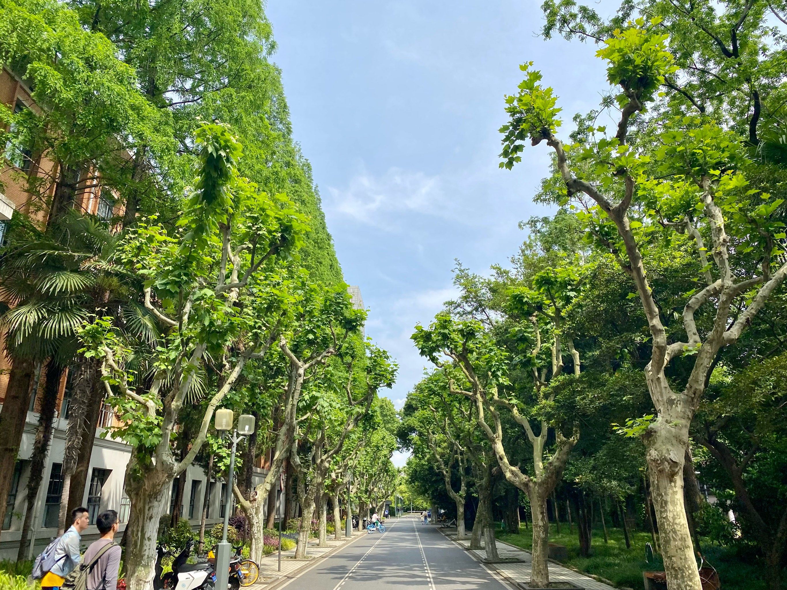 同济大学袁志凯