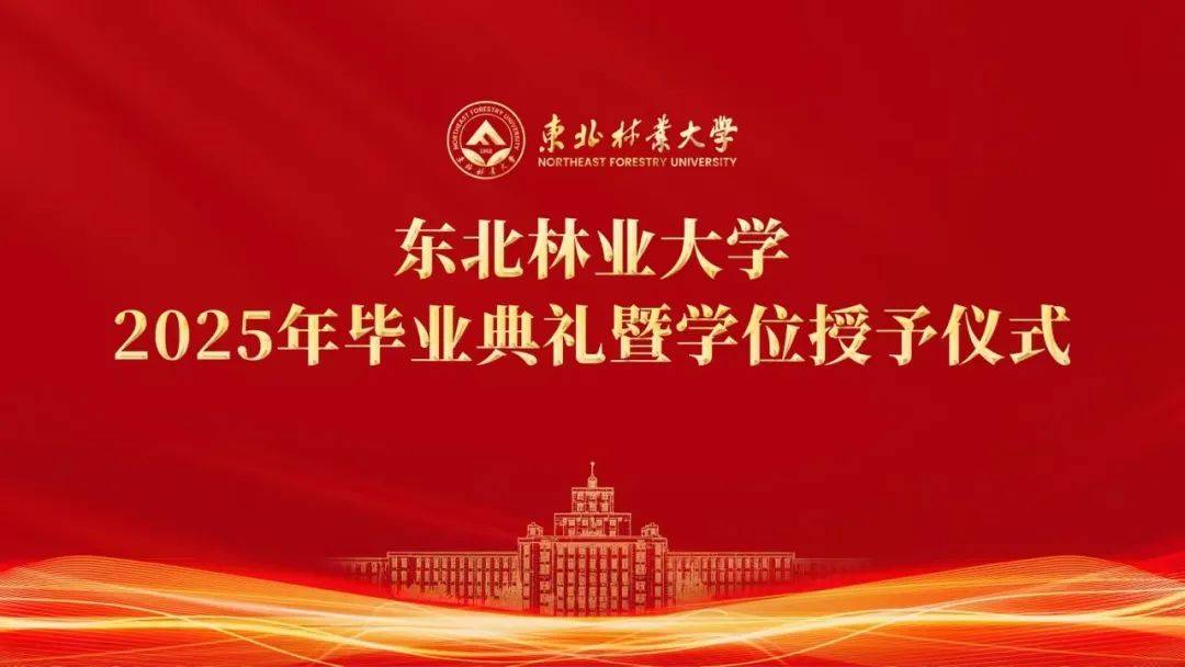 东北林业大学全国排名