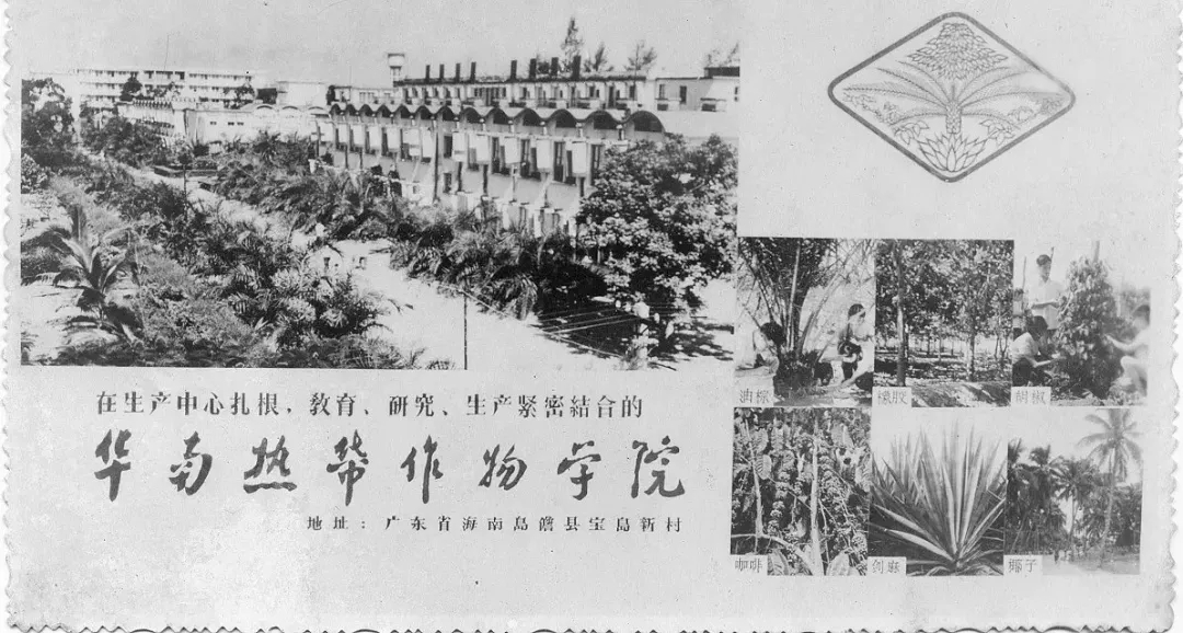 海南大学文凭全国认可度