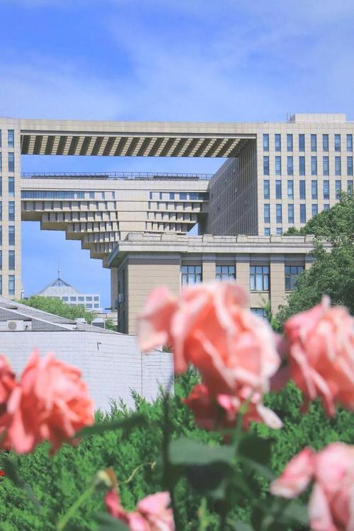 北京林业大学是985还是211