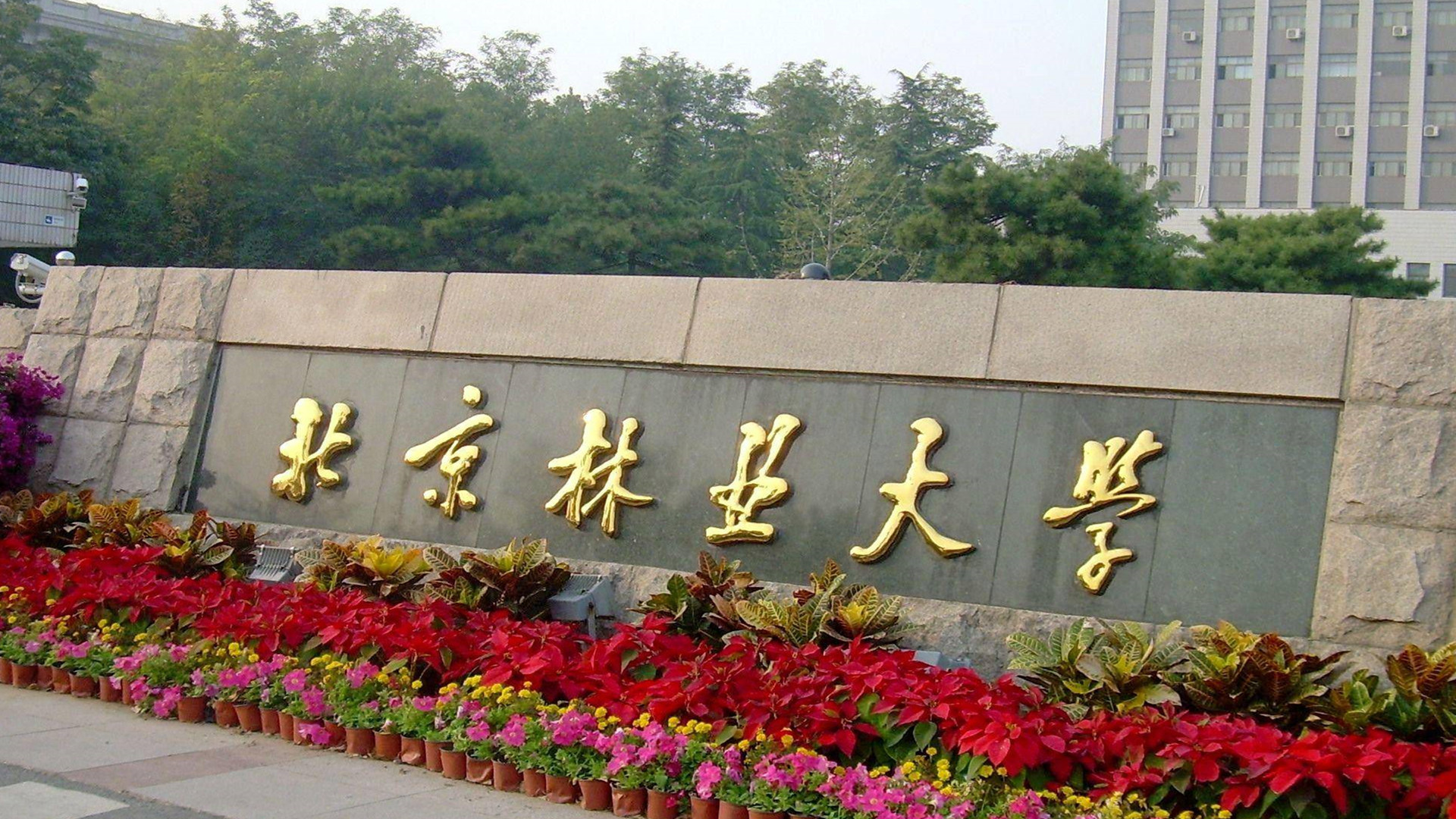 北京林业大学是985还是211